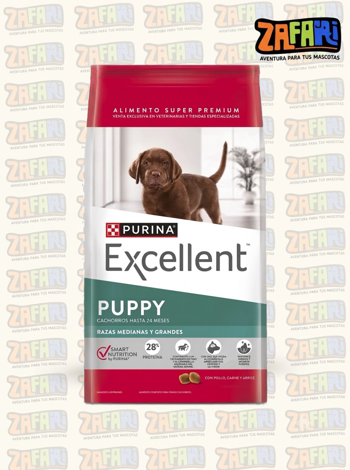 Excellent Perro Puppy razas medianas y grandes