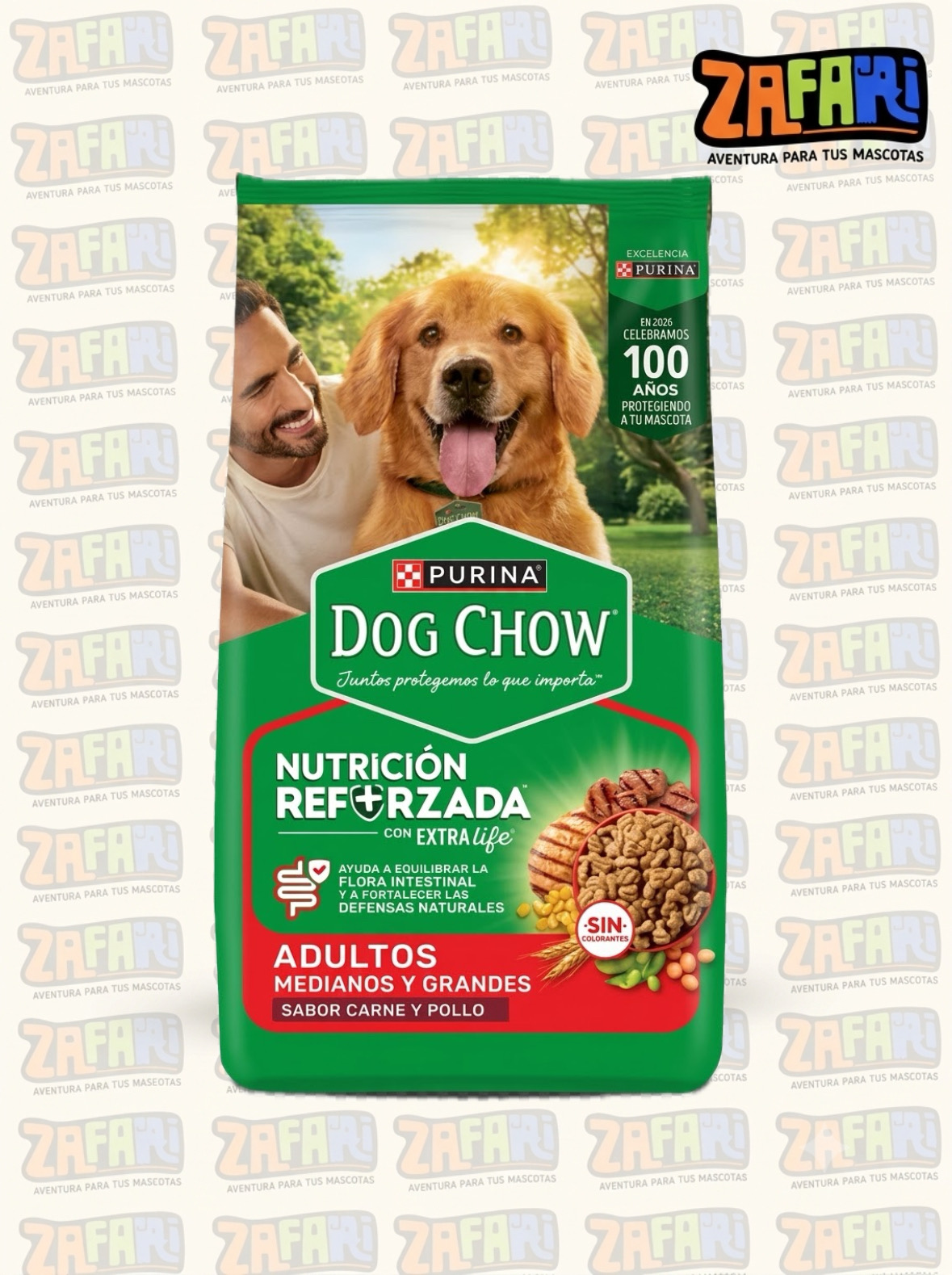 Dog Chow Perro adulto
