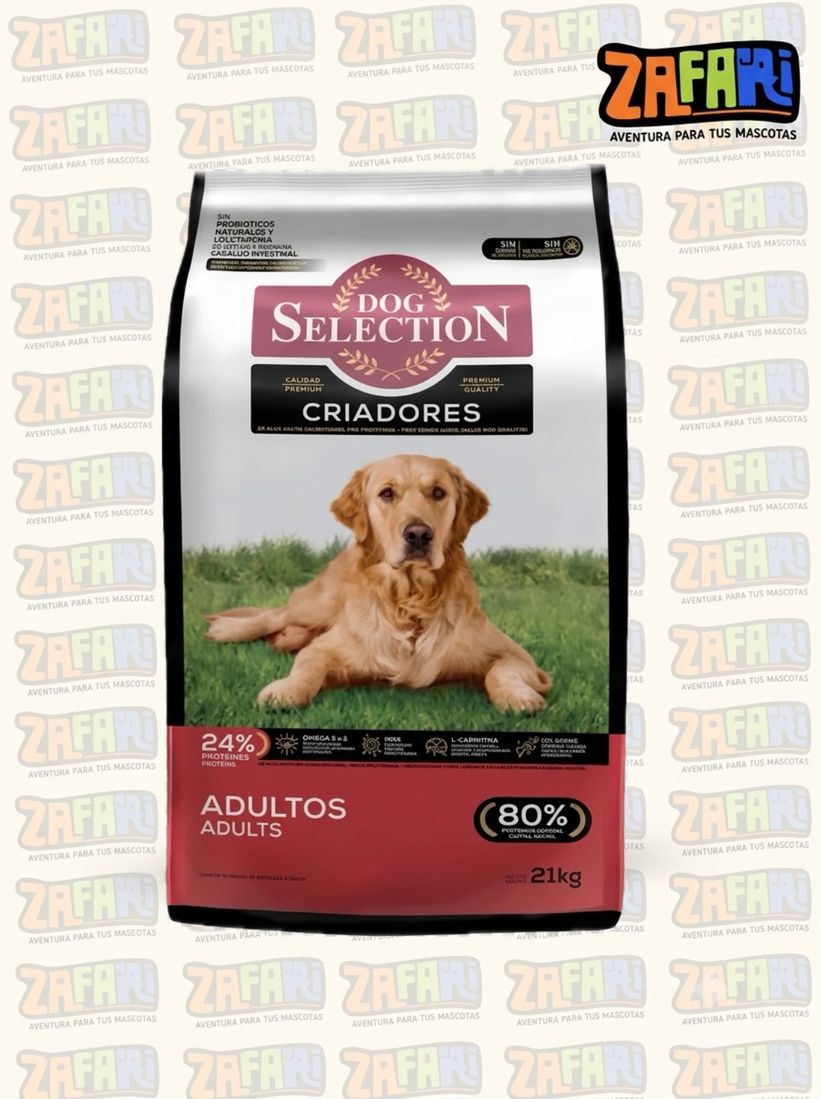 Dog Selection Perro adulto
