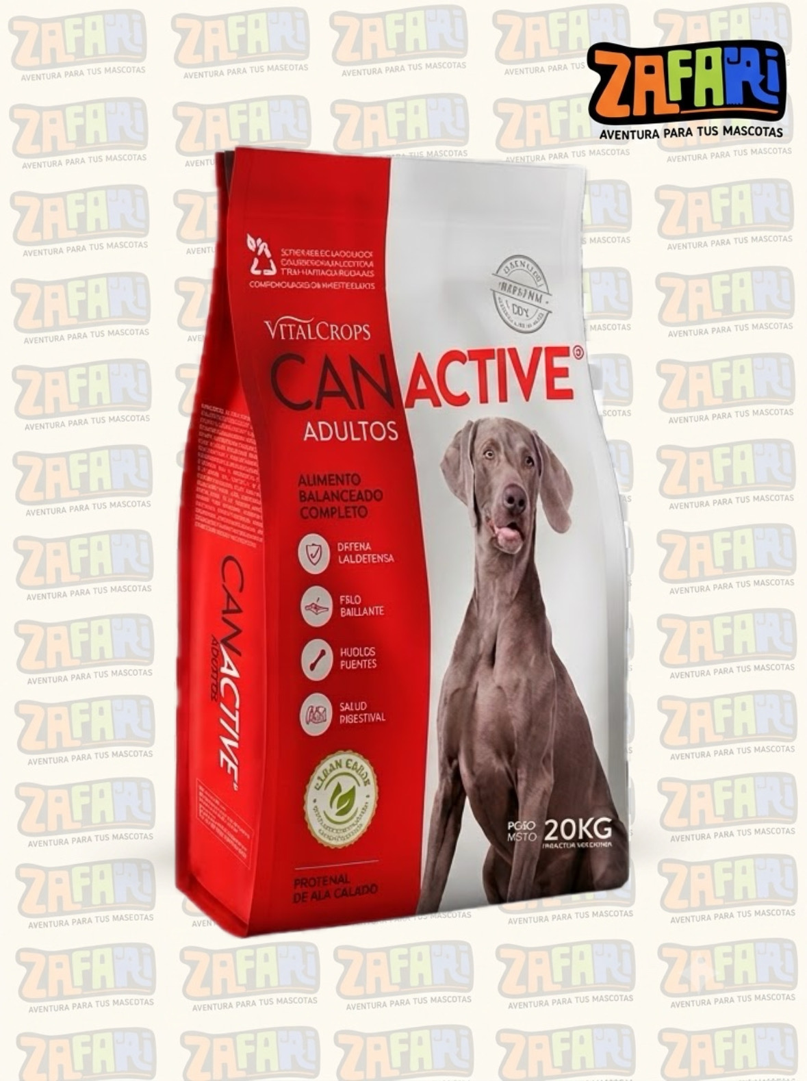 Can Active Perro adulto