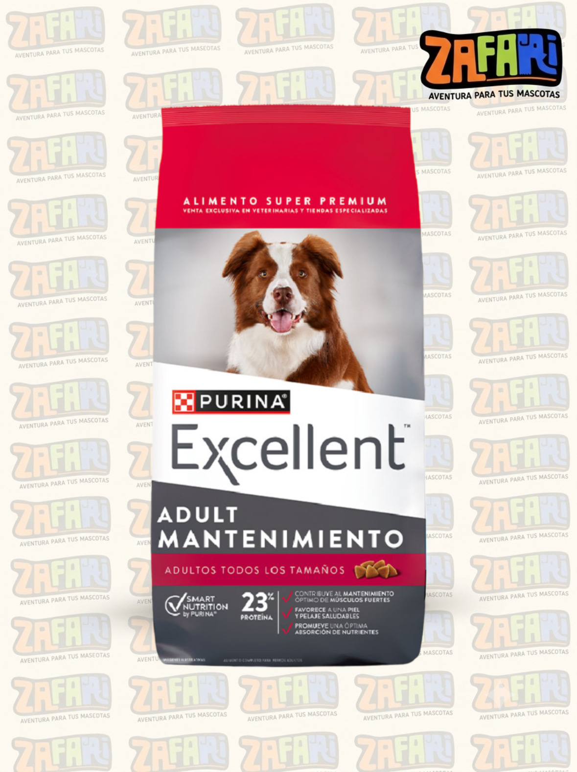 Excellent Mantenimiento Perro adulto
