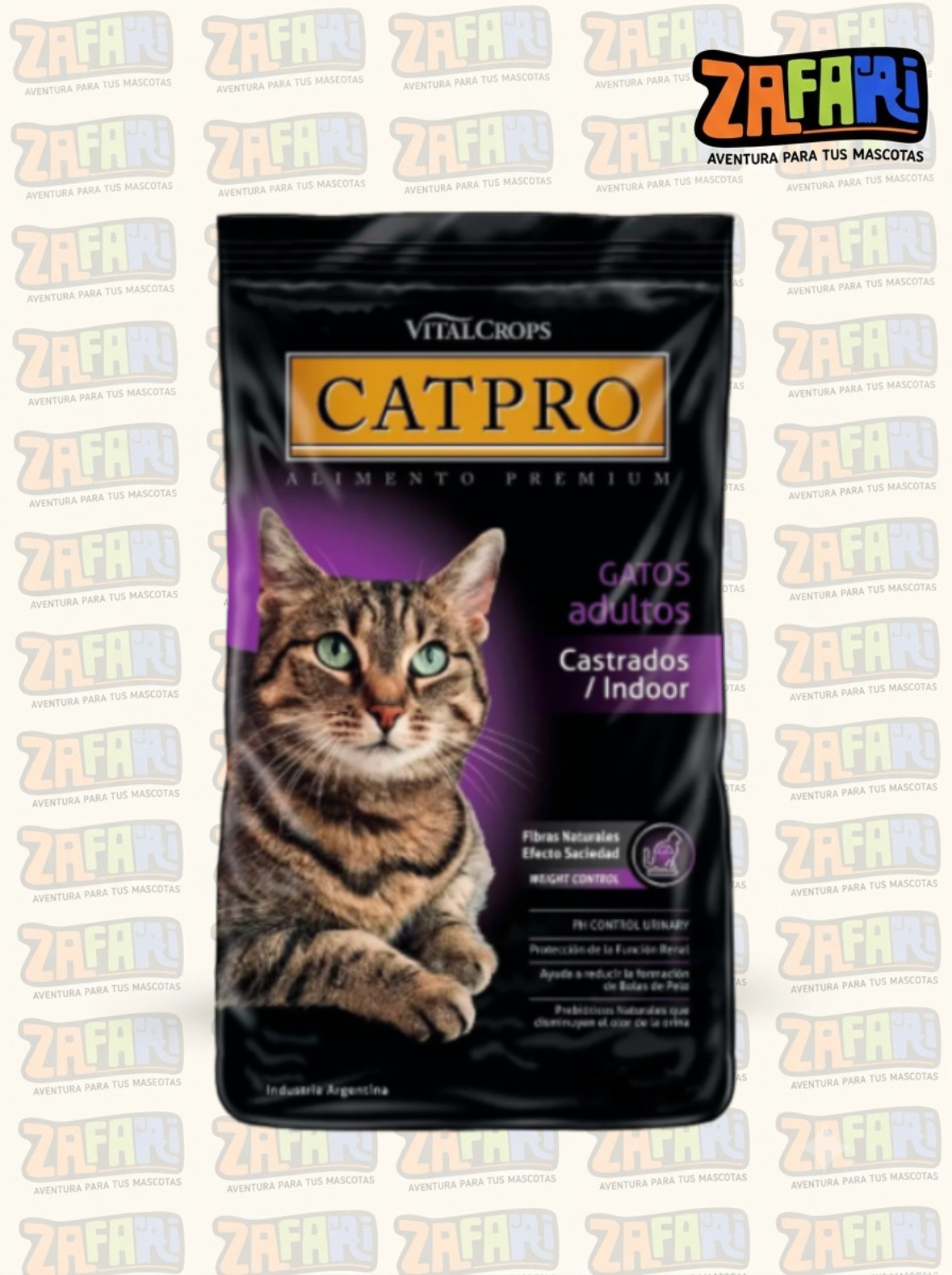 Cat pro Gato castrado