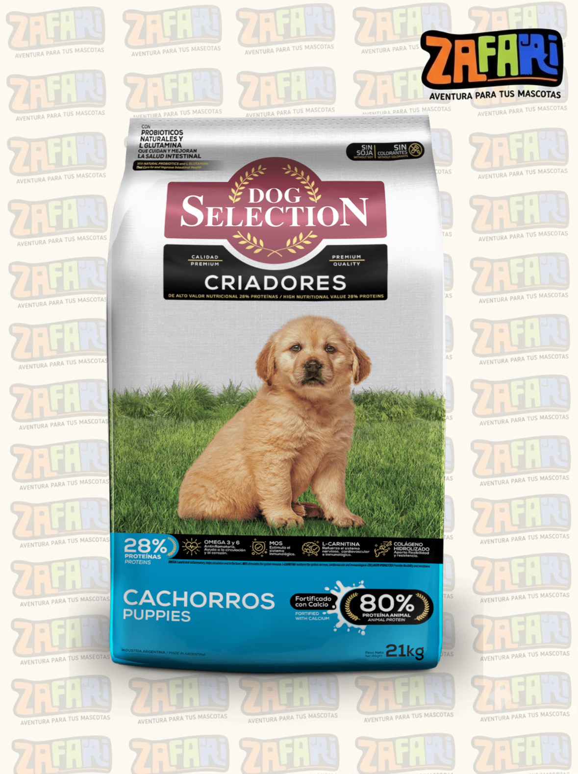 Dog Selection Perro cachorro