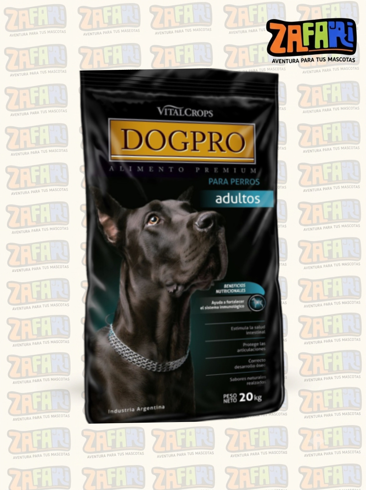 Dog Pro Perro adulto