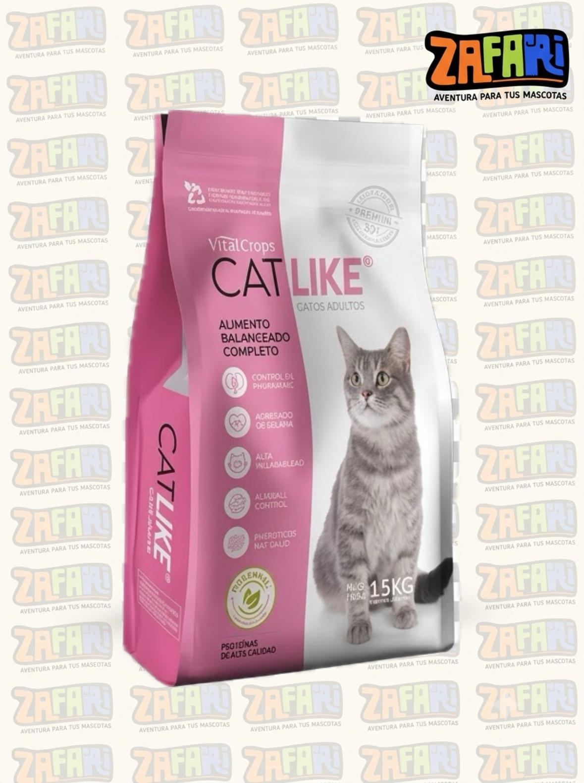 Cat like Gato adulto