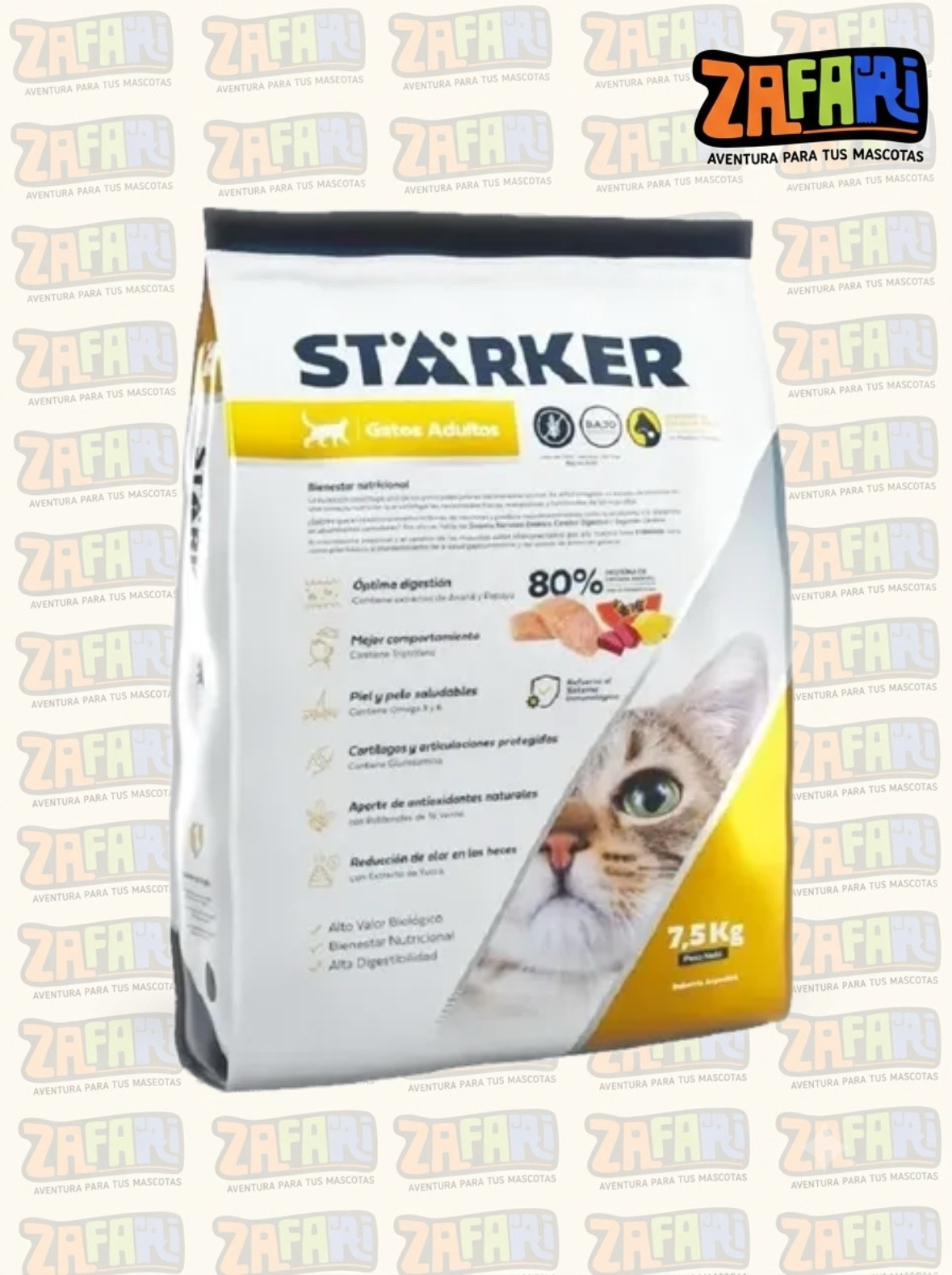 Starker Gato Adulto