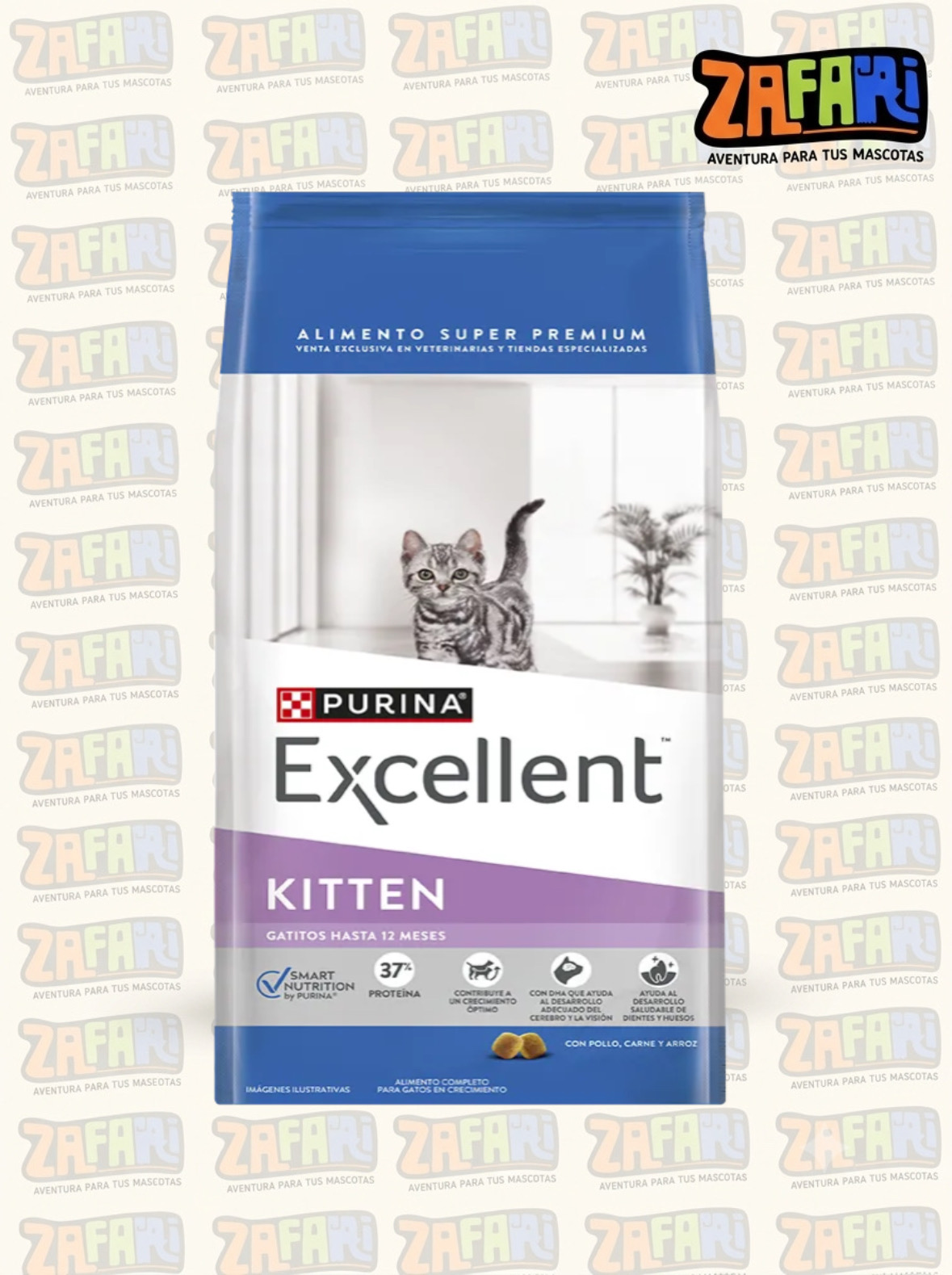 Excellent Gatitos hasta 12 meses