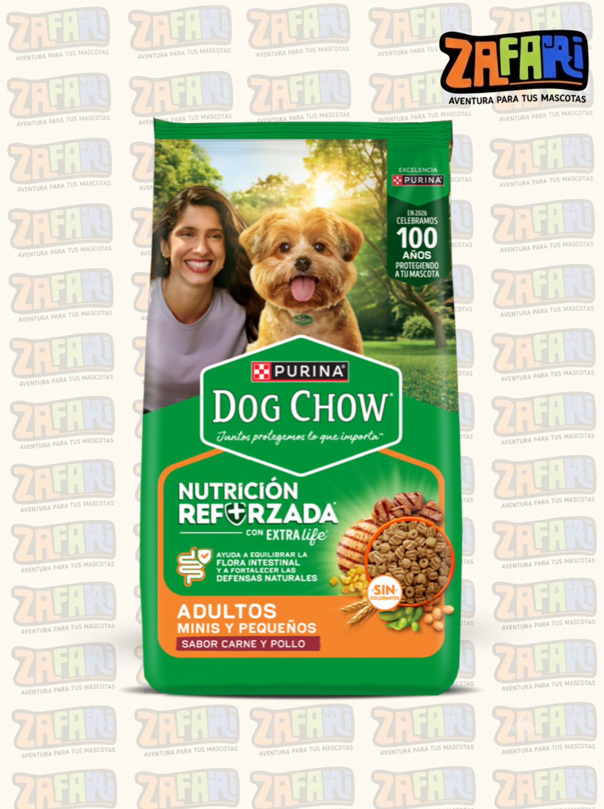 Dog Chow Perro adulto mini pequeño