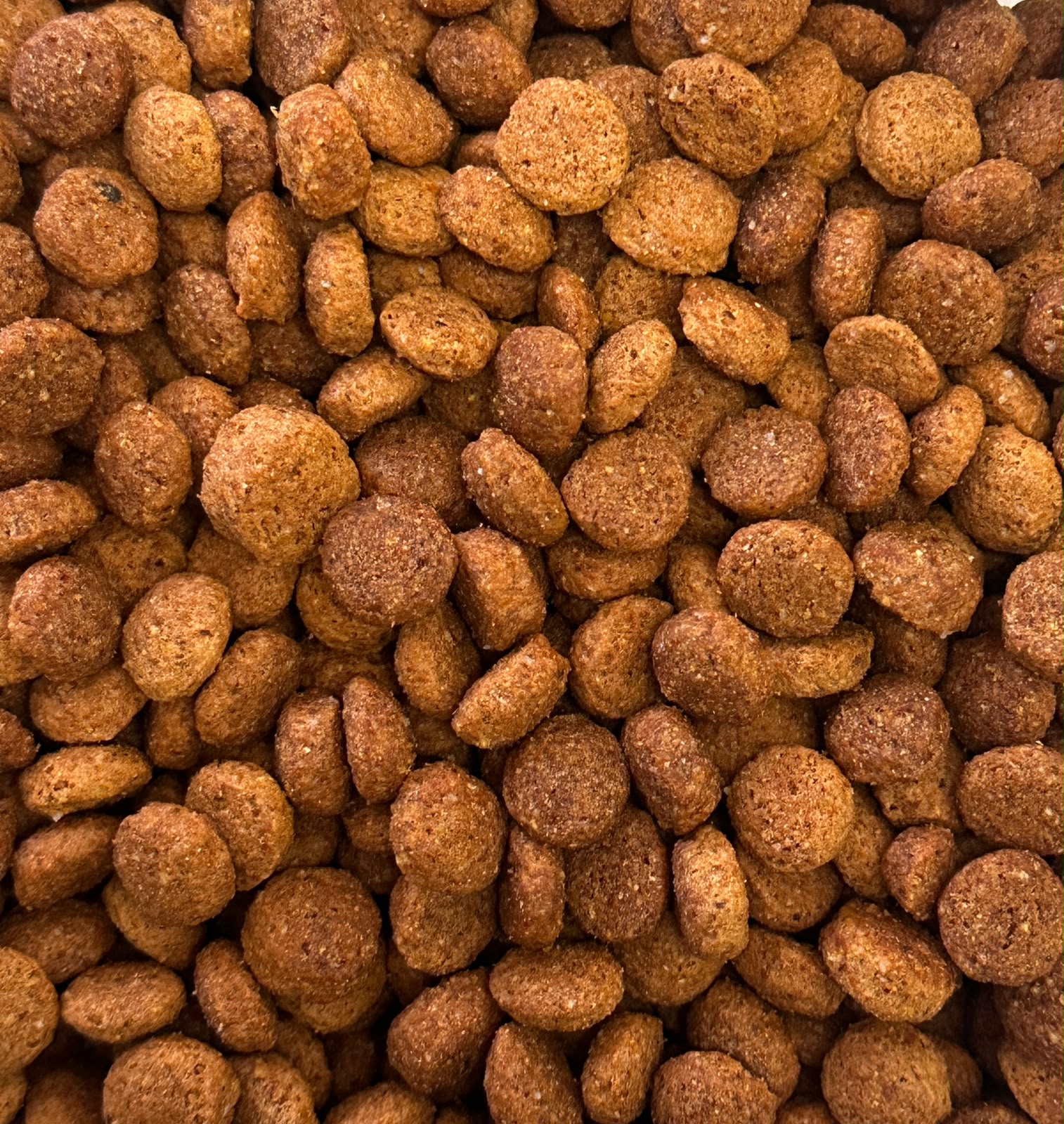 Bio Max Perro adulto mordida pequeña Suelto