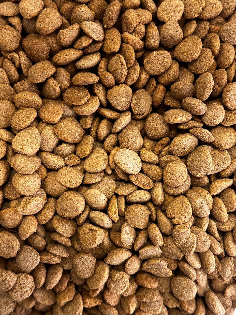 Oferta Eco Perro adulto suelto