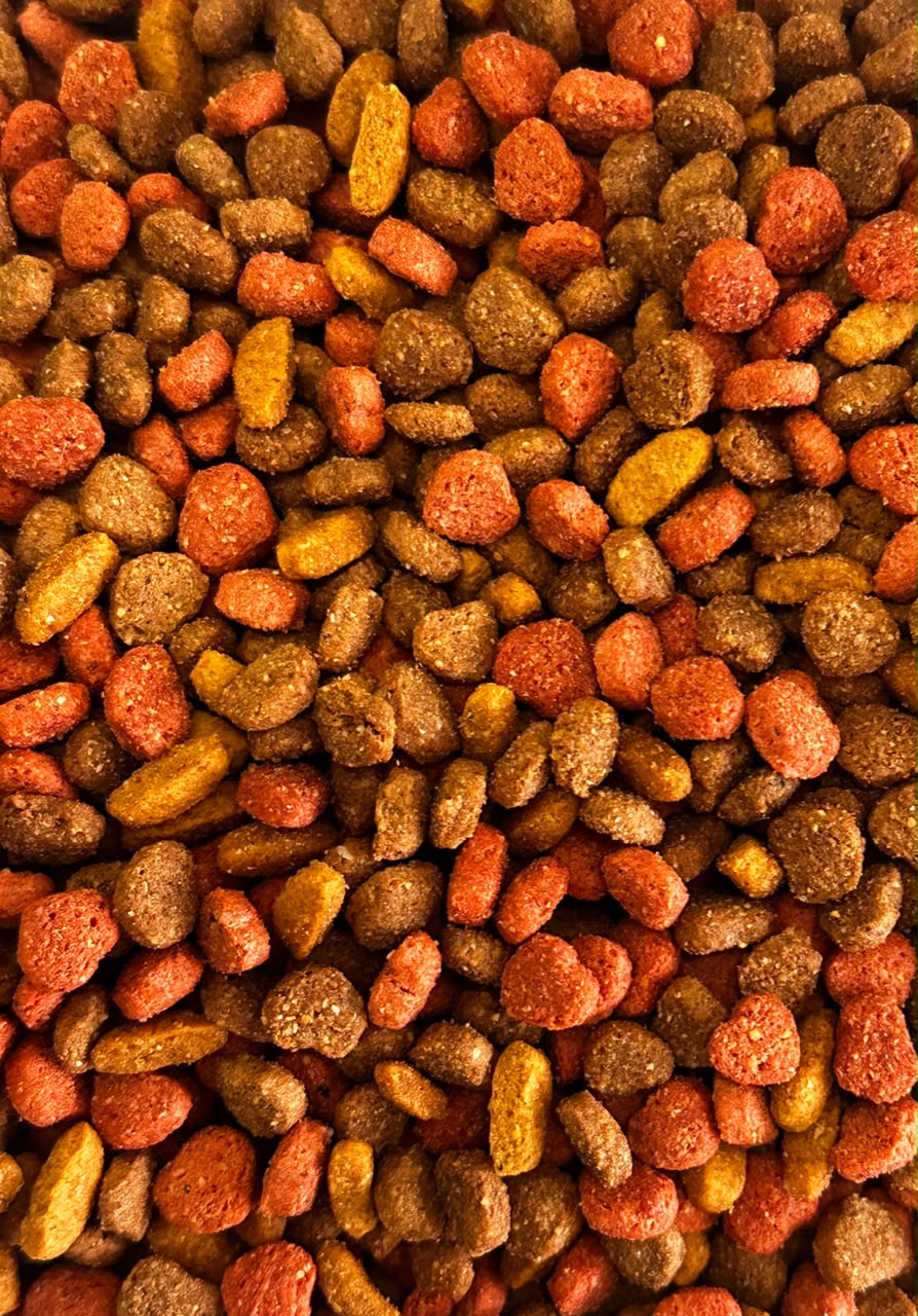 Nutribon Plus Gato adulto suelto